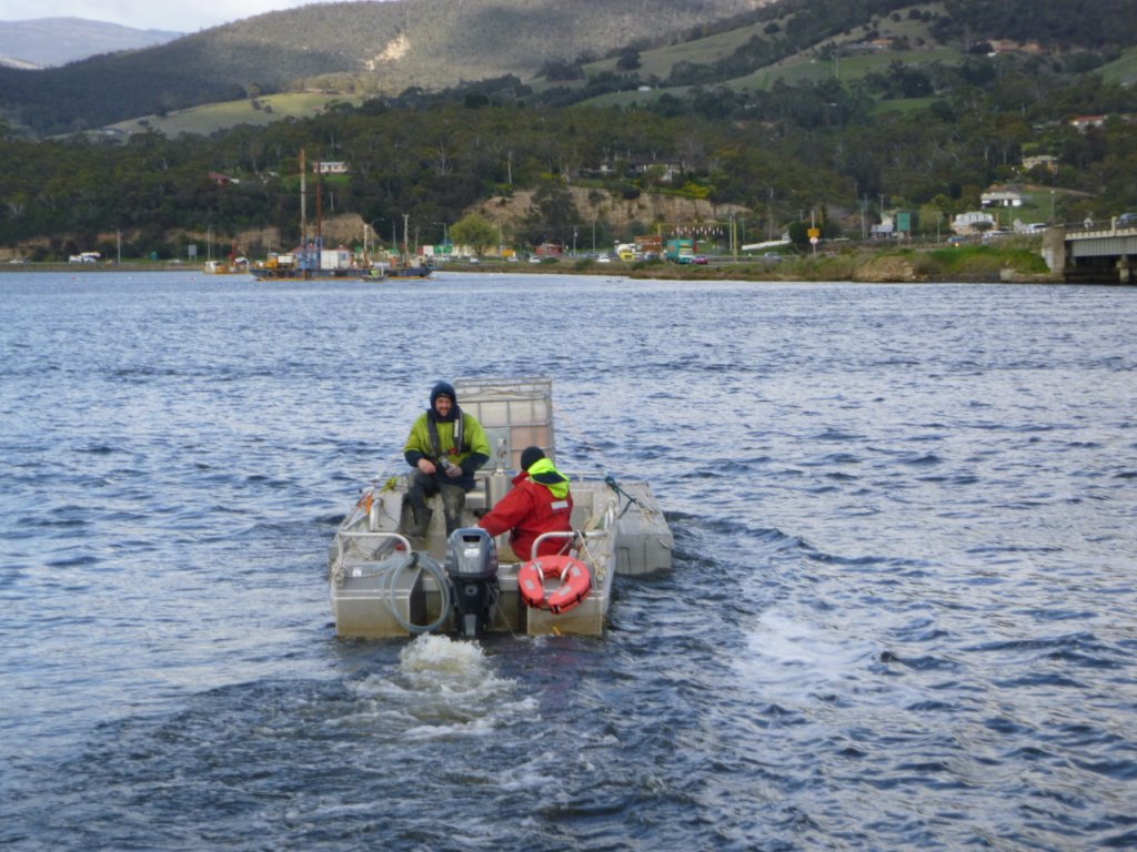 Bridgewater Bridge work 9